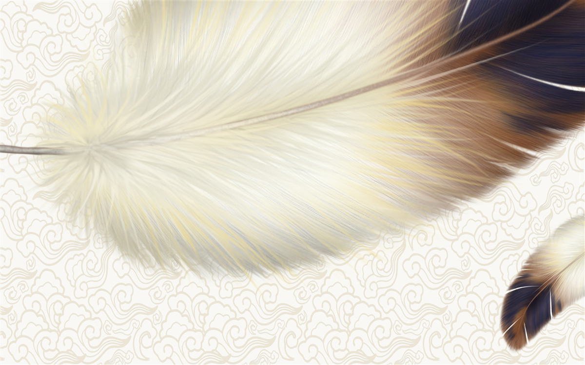 Fototapeta pióra są białe z brązowymi krawędziami