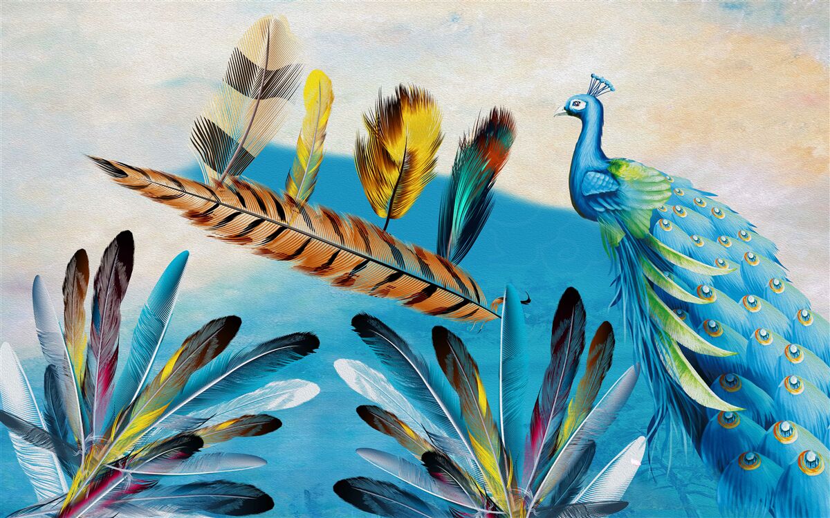 Fototapeta pawie pióra i ich odmiany