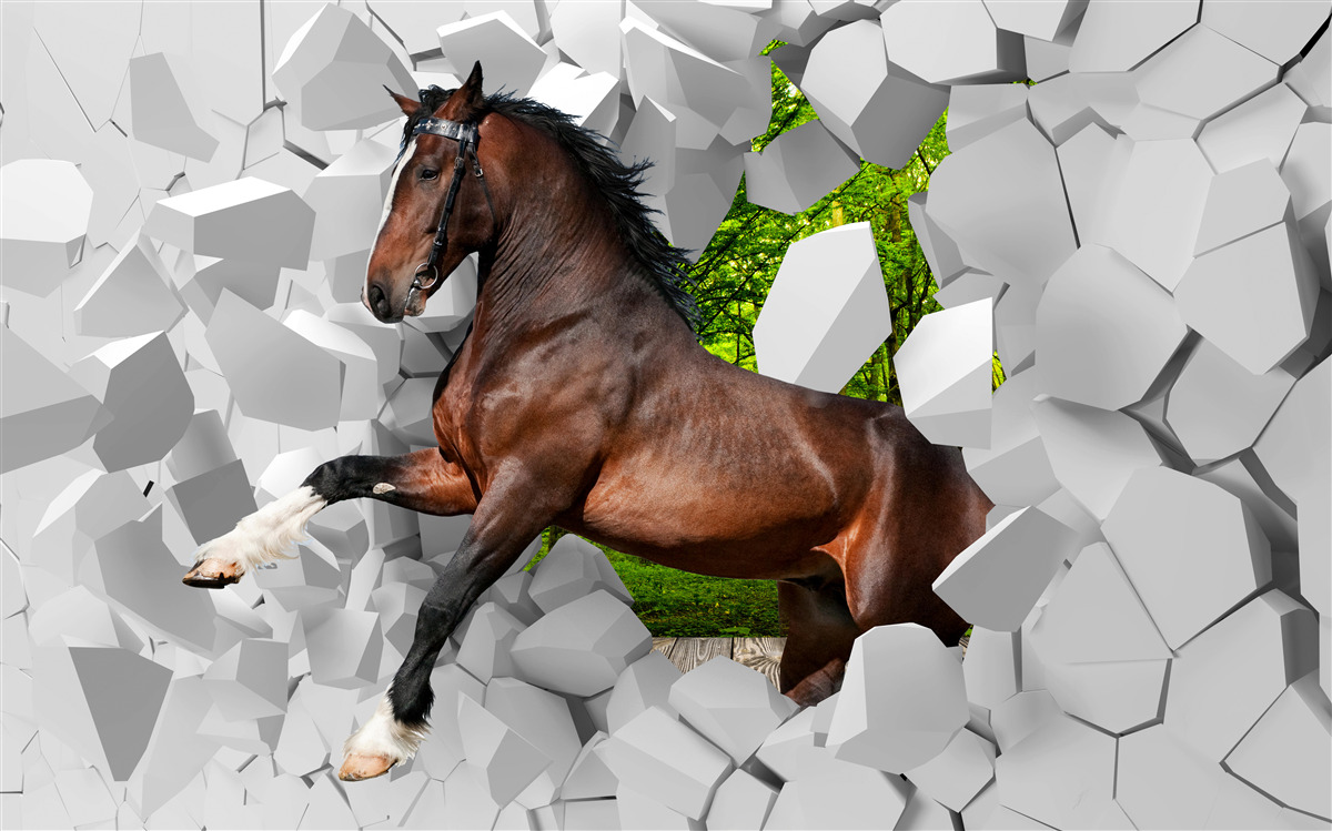 Fototapeta brązowy koń pokonuje przeszkodę w postaci ściany