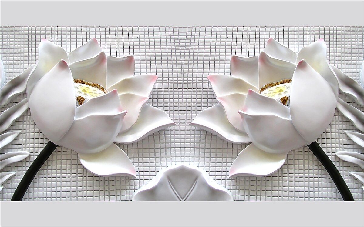 Fototapeta pudełka z białymi lotosami