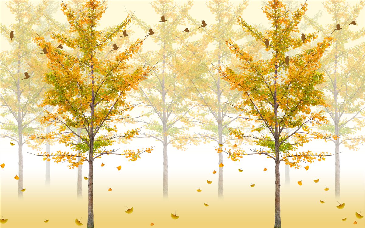 Fototapeta kolory jesieni w lesie liściastym