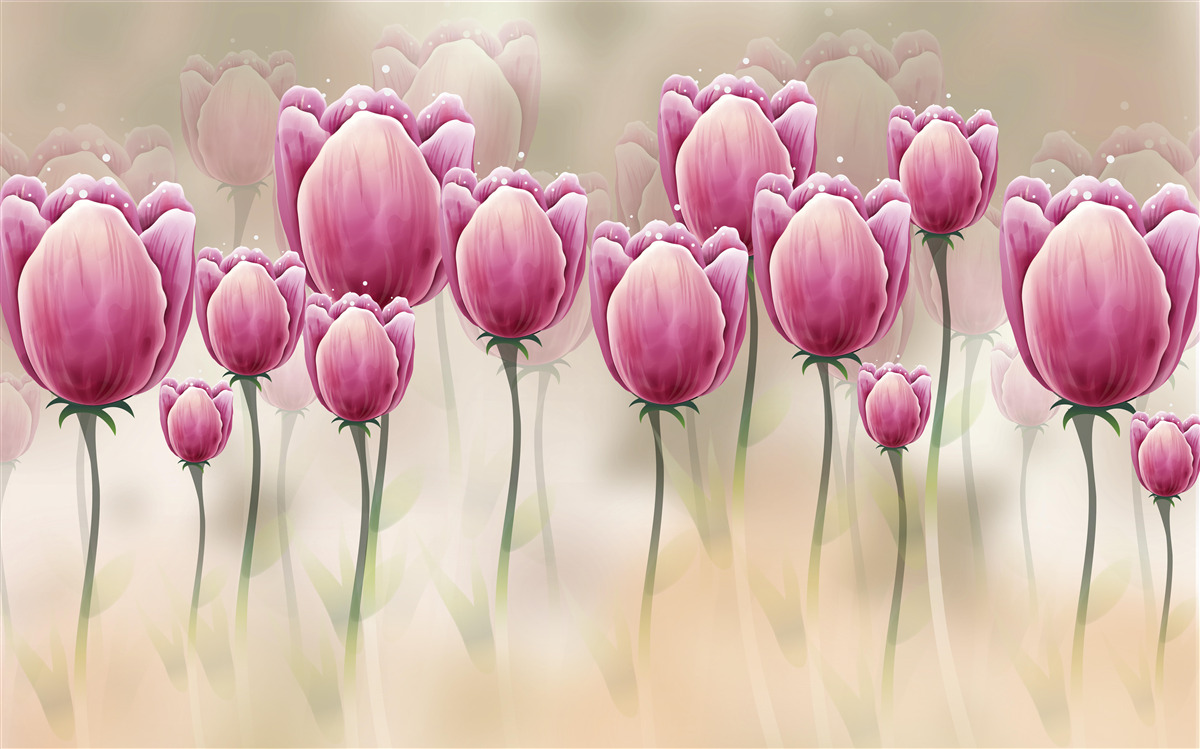 Fototapeta zamknięte karmazynowe tulipany