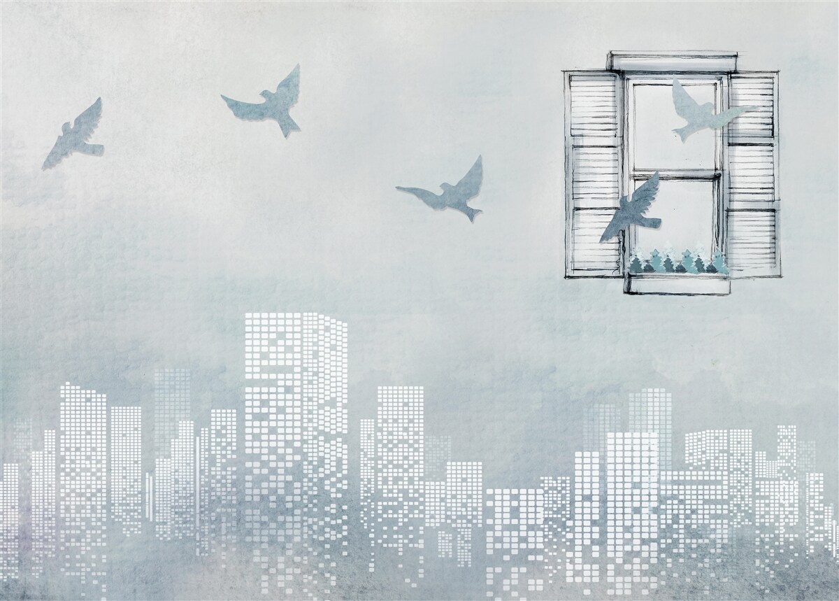 Fototapeta ptaki latające nad dużym miastem