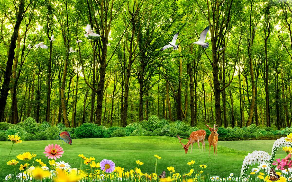 Fototapeta w zielonym lesie jeleń jest na pastwisku