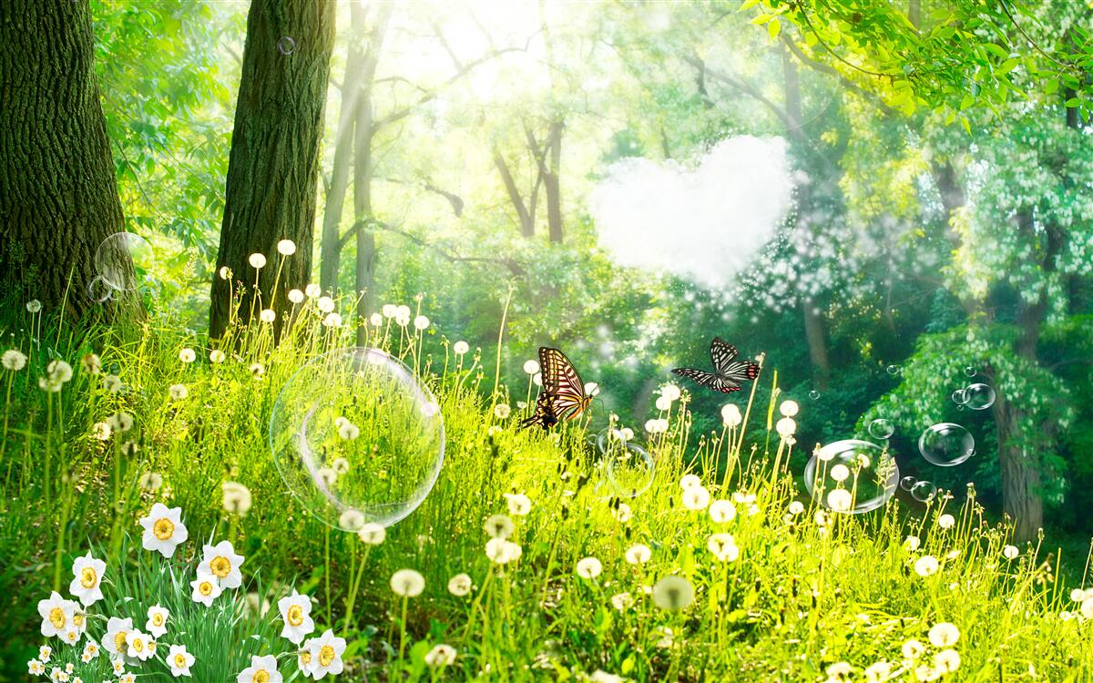 Fototapeta Ćmy na zielonej łące