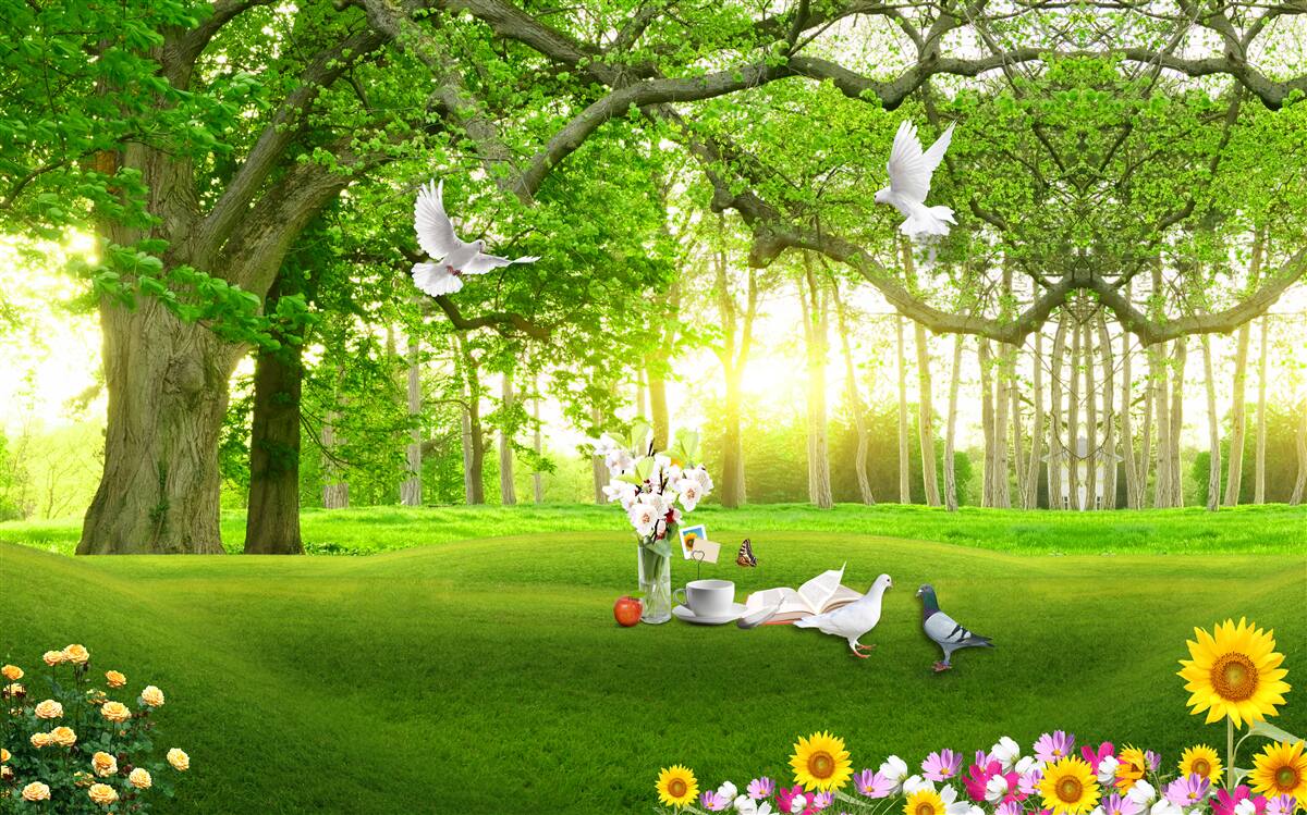 Fototapeta spokojny zielony trawnik o świcie