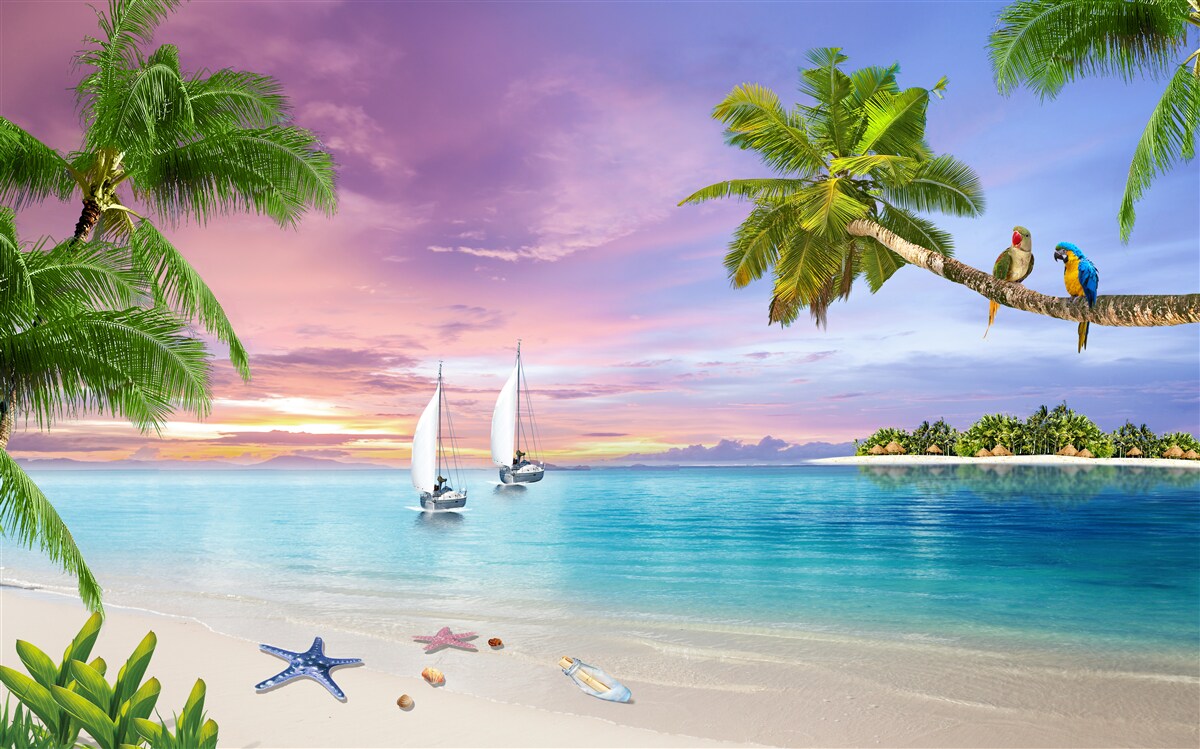 Fototapeta jachty z żaglami w pobliżu brzegu morza