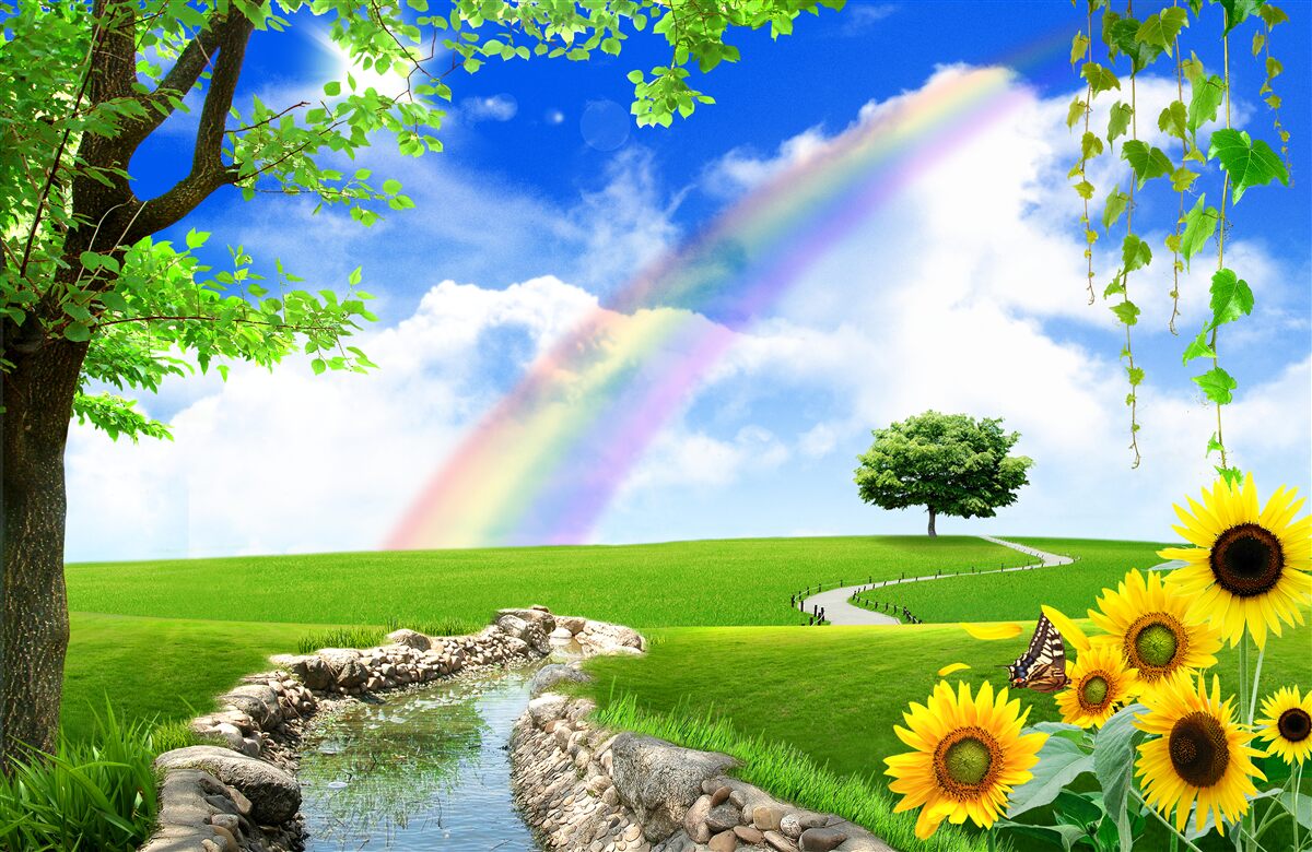 Fototapeta kolorowa poświata nad zieloną polaną