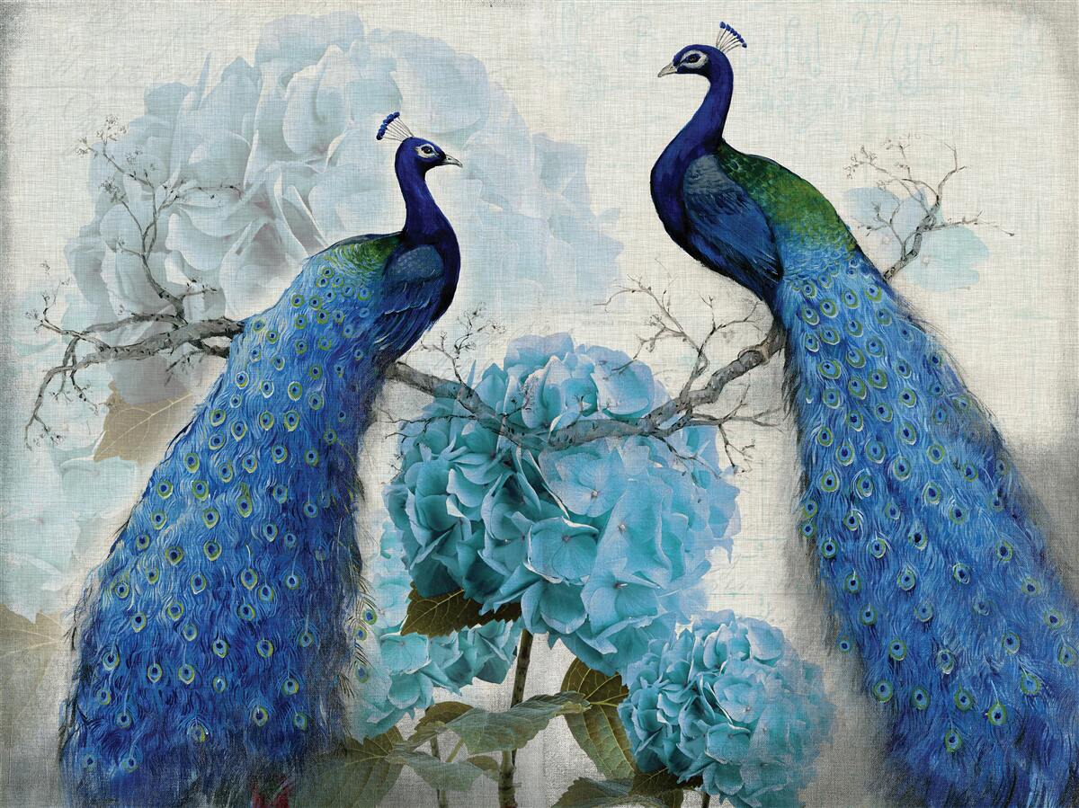 Fototapeta pawie z niebieskimi piórami na kwiatach w tym samym odcieniu