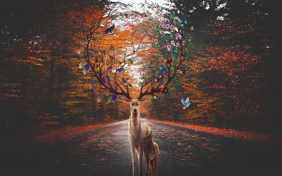 Fototapeta okres jesienny i doskonałe poroże dorosłego jelenia