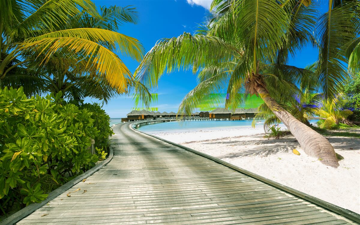 Fototapeta Ścieżka do nadmorskich domków