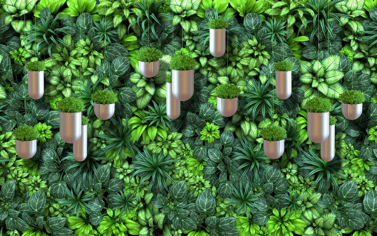 Fototapeta kolor jest zielony, a rośliny znajdują się w doniczce