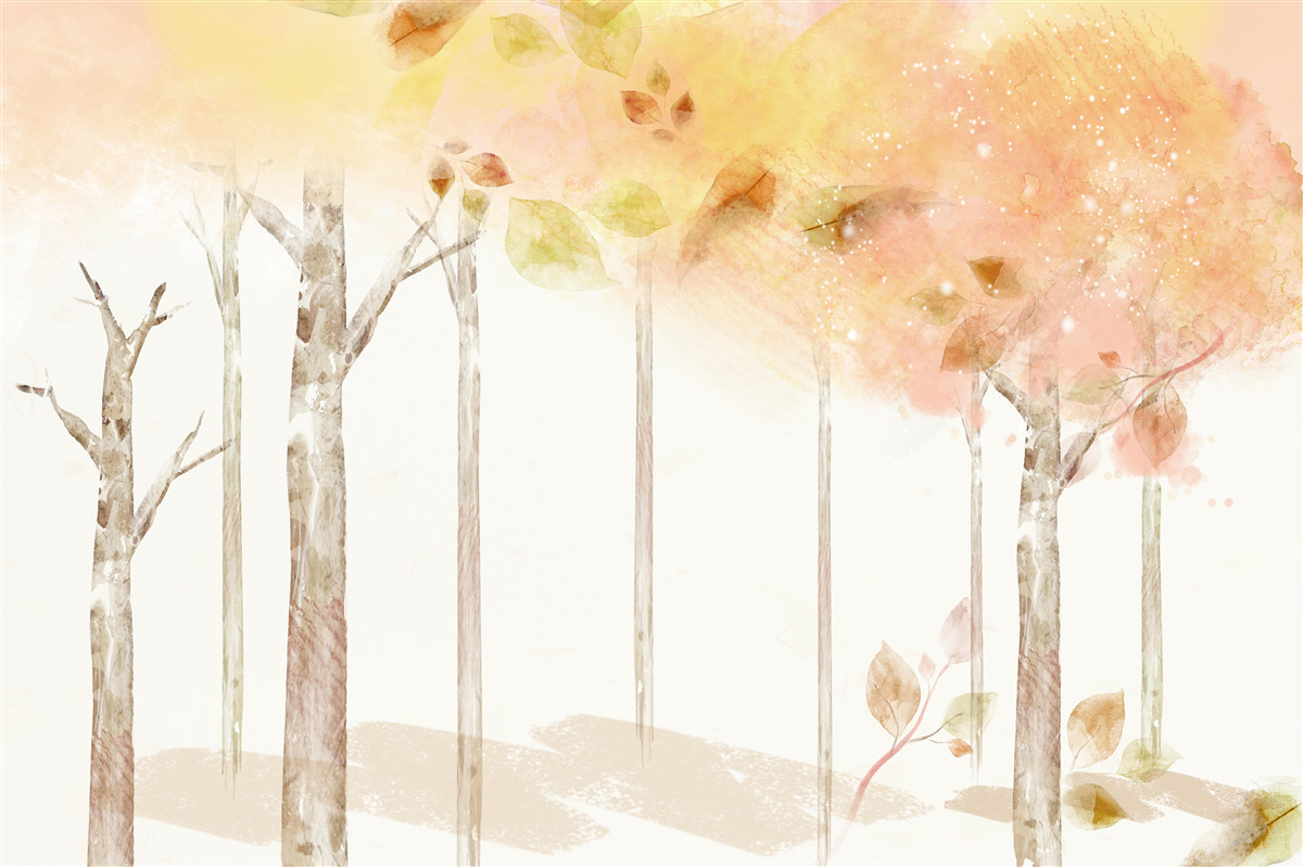 Fototapeta drzewa tracą liście jesienią