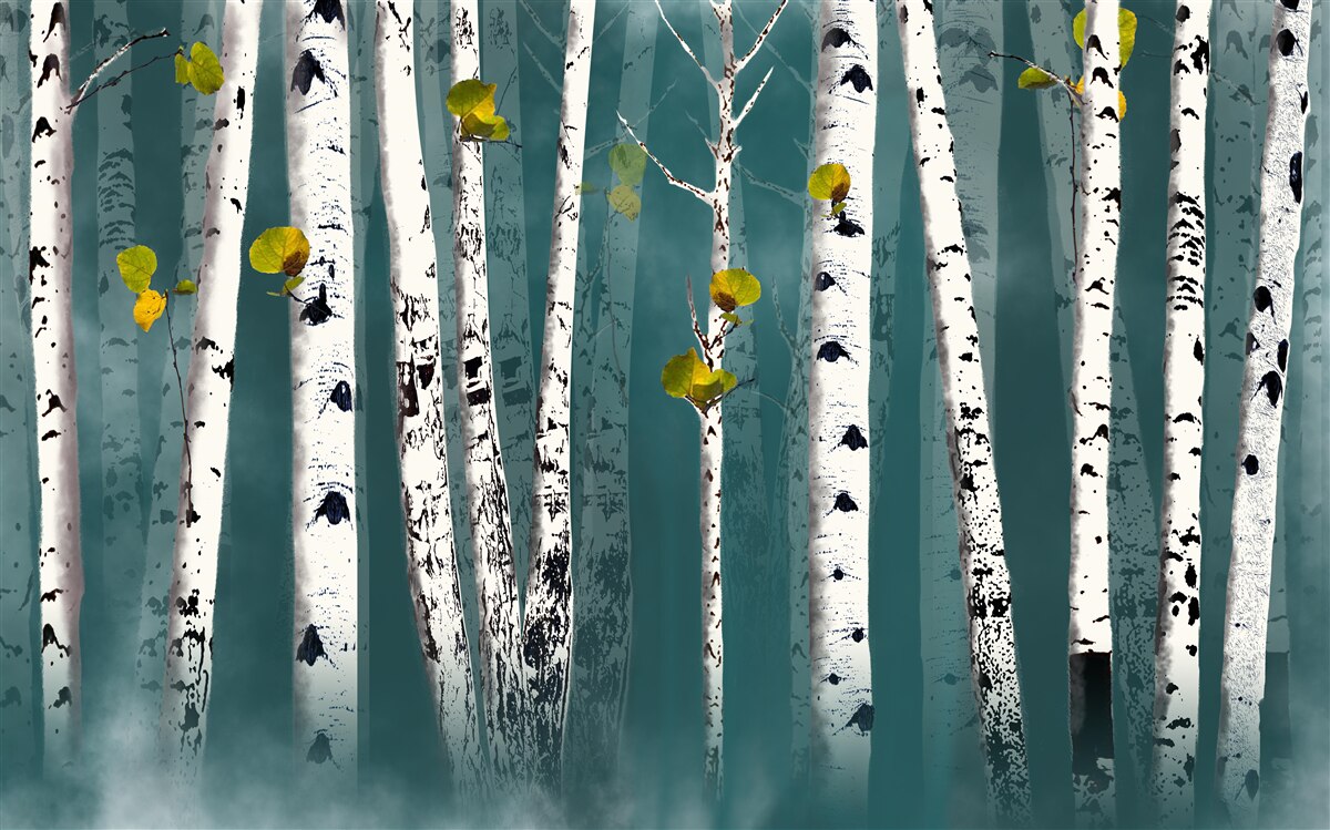 Fototapeta brzozy spowijała mglista zasłona