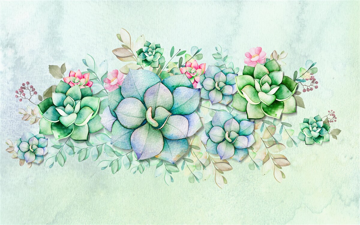 Fototapeta zestaw zielonych sukulentów