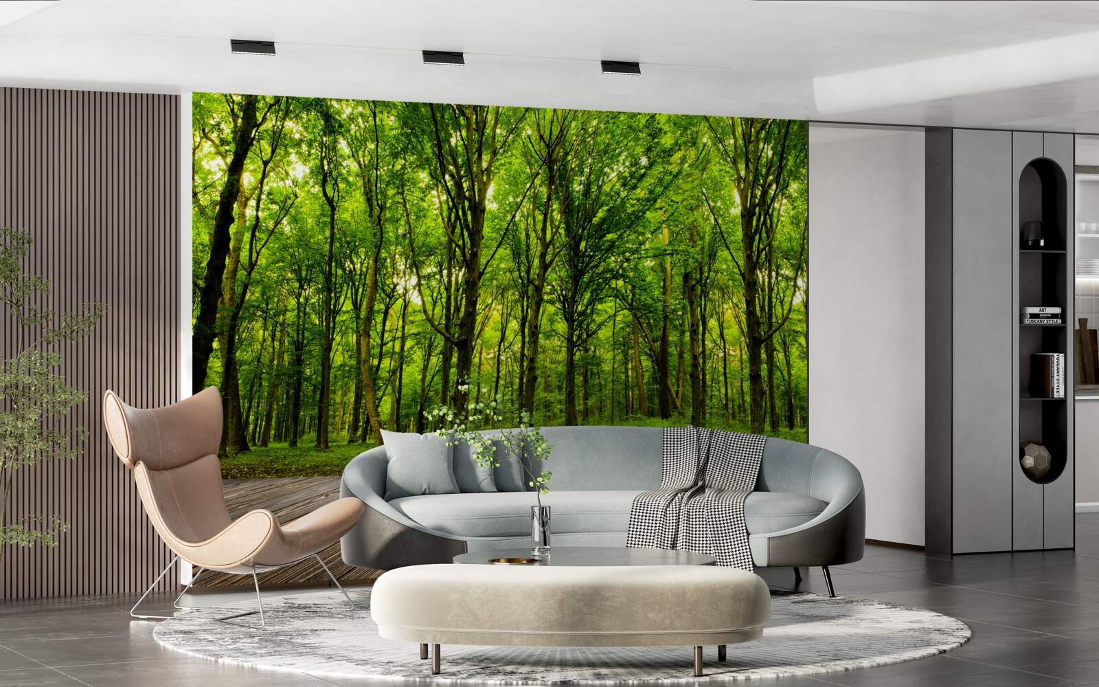 Fototapeta zielony las, smukły i bogaty, oświetlony promieniami słońca