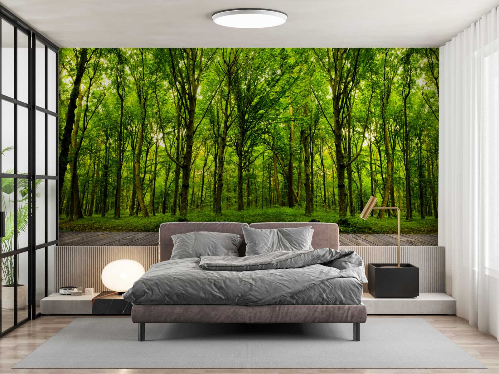 Fototapeta zielony las, smukły i bogaty, oświetlony promieniami słońca