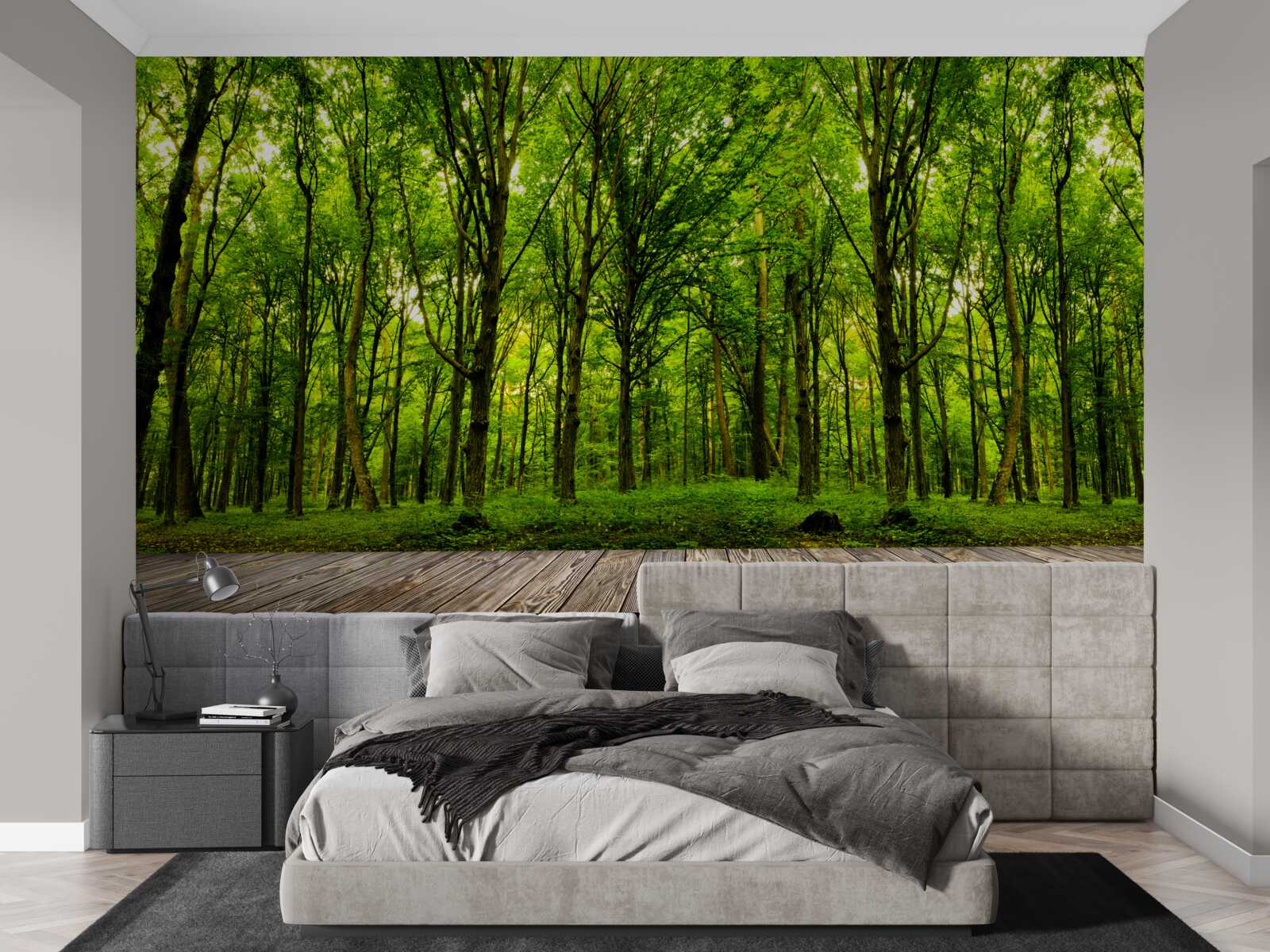 Fototapeta zielony las, smukły i bogaty, oświetlony promieniami słońca