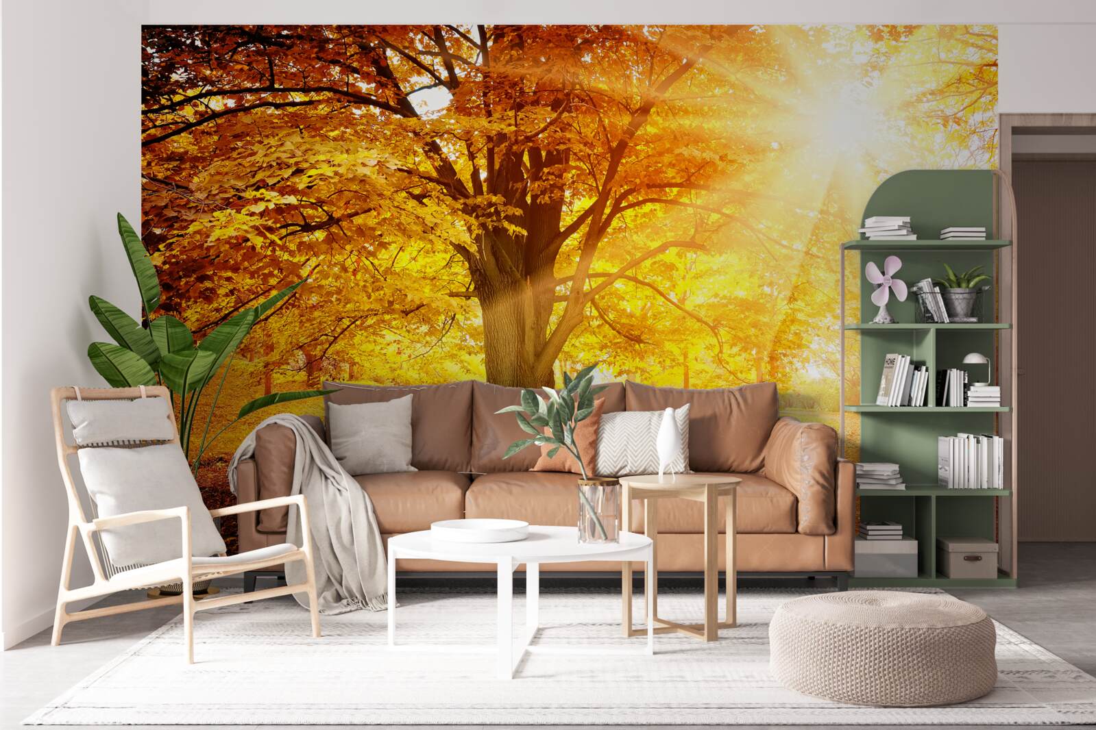 Fototapeta jasne światło słońca przenika przez jesienną mgłę lasu