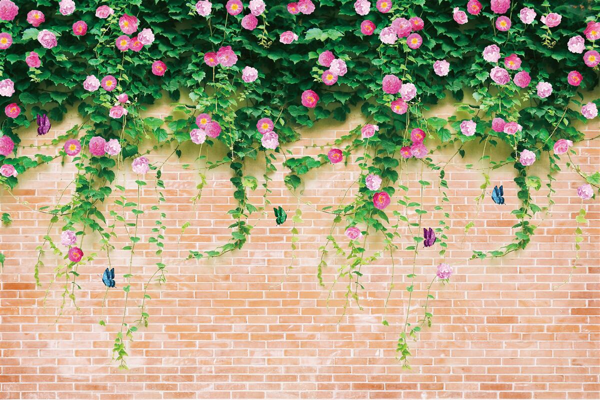 Fototapeta miękkie różowe róże na ścianie z cegły