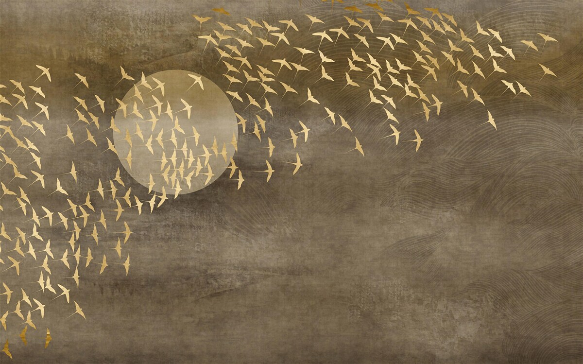 Fototapeta Ćmy w pobliżu światła lampki nocnej