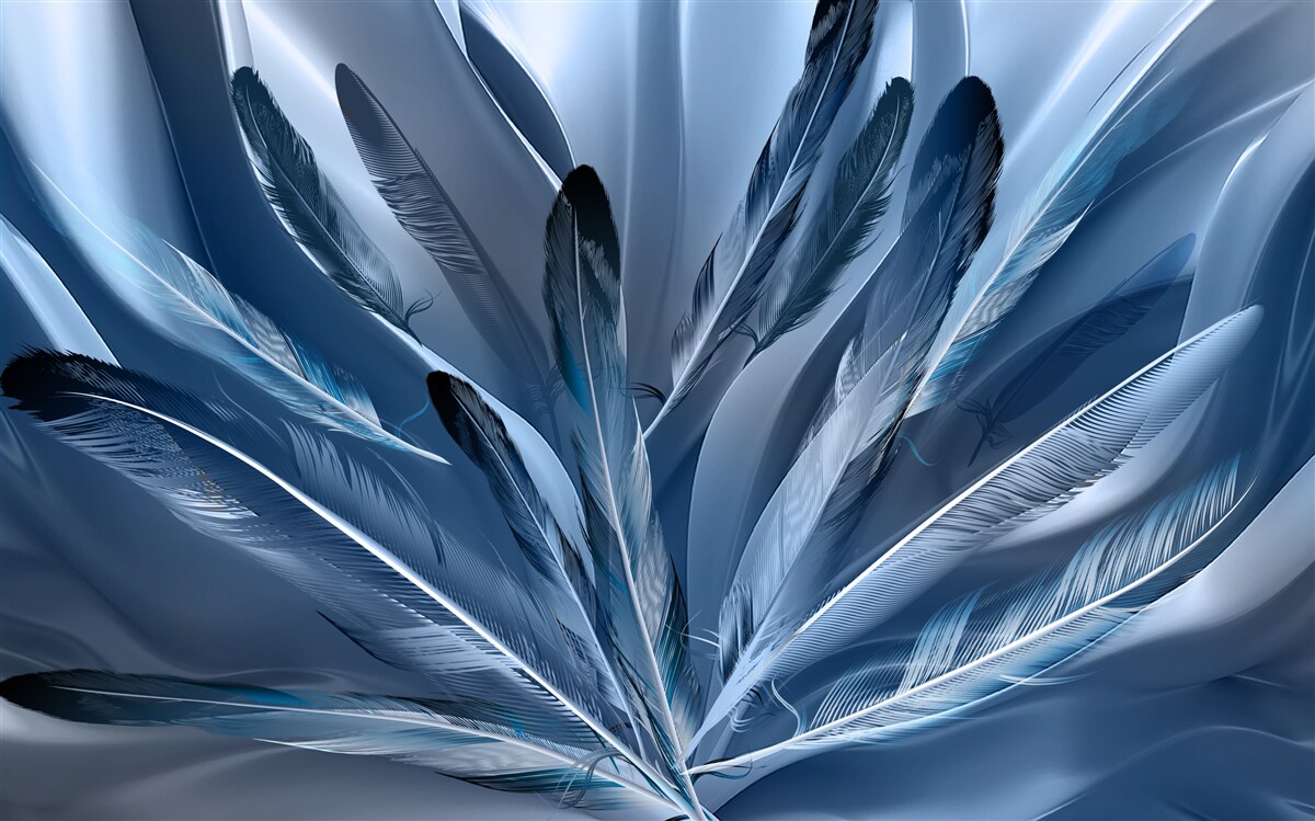 Fototapeta tło usiane niebieskimi piórami