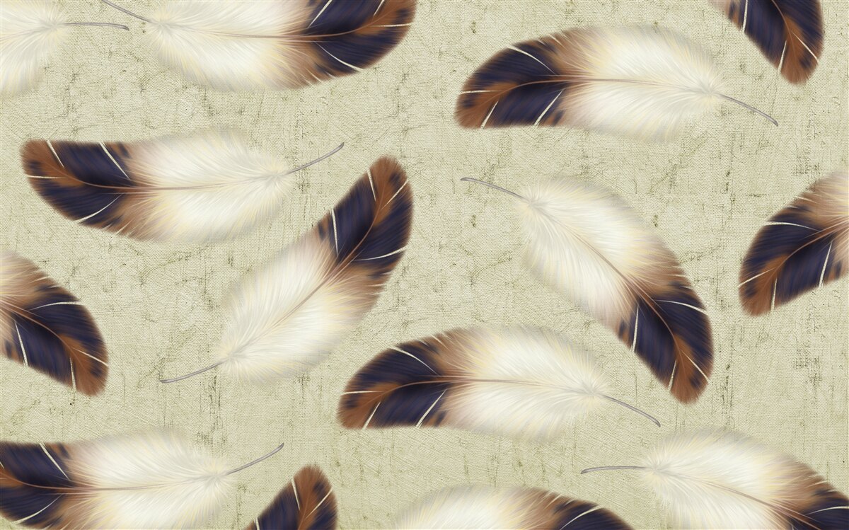 Fototapeta wspaniałe tło z piór