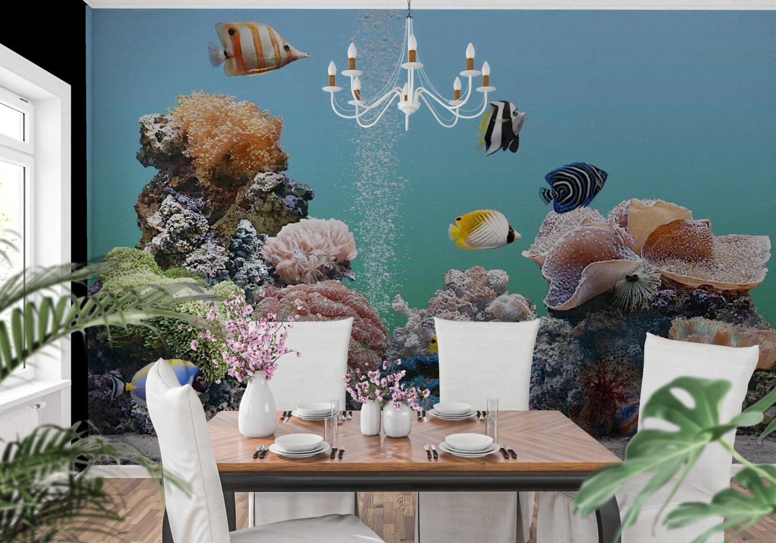 Fototapeta piękno barier koralowych