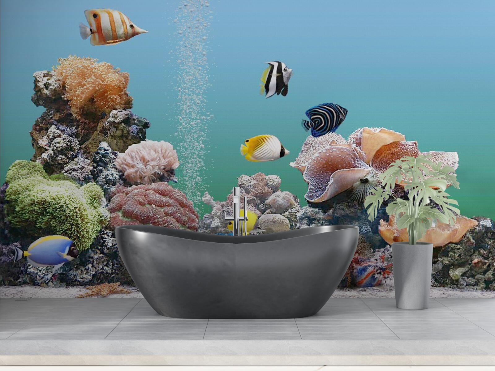 Fototapeta piękno barier koralowych