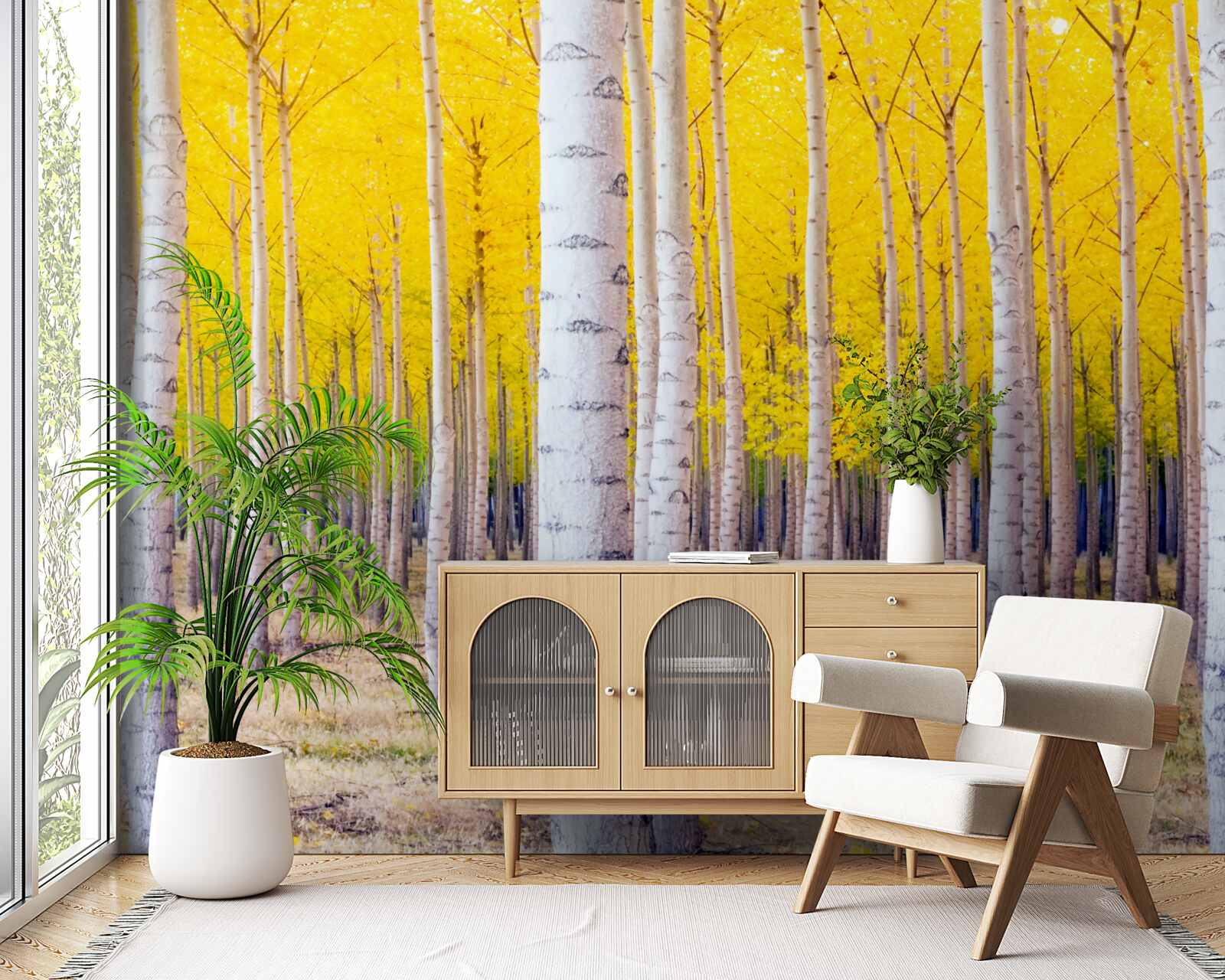 Fototapeta jasnożółte kolory rozjaśniają się w brzozowym lesie