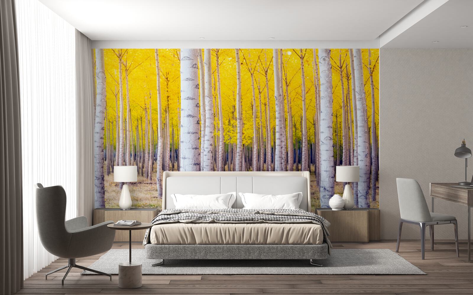 Fototapeta jasnożółte kolory rozjaśniają się w brzozowym lesie