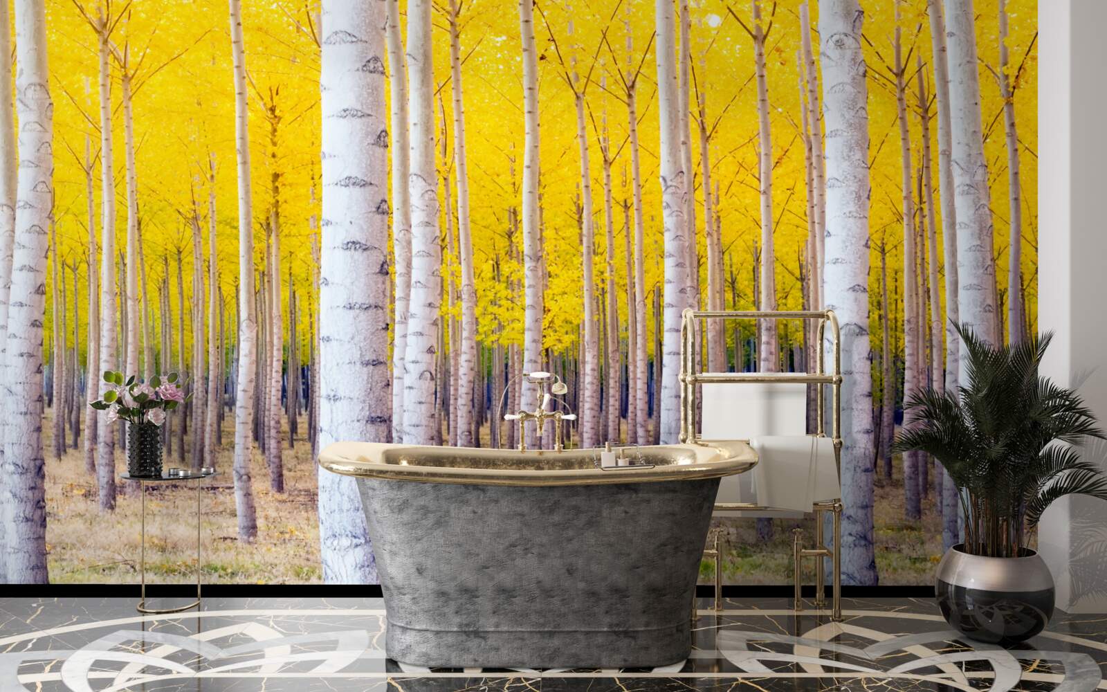 Fototapeta jasnożółte kolory rozjaśniają się w brzozowym lesie