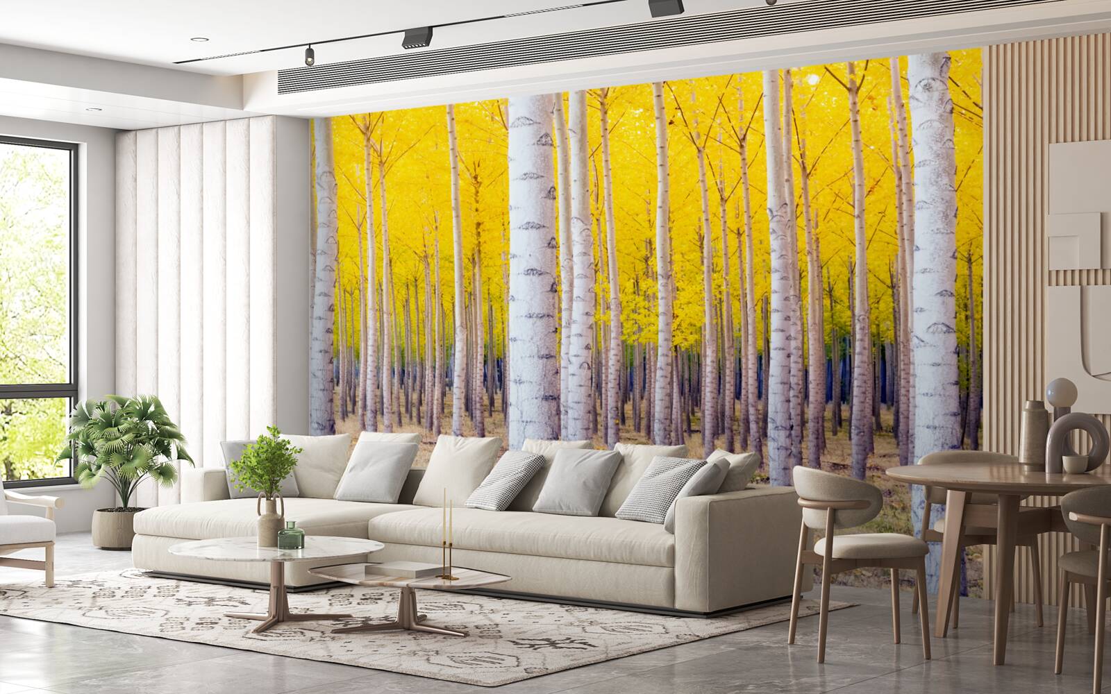 Fototapeta jasnożółte kolory rozjaśniają się w brzozowym lesie