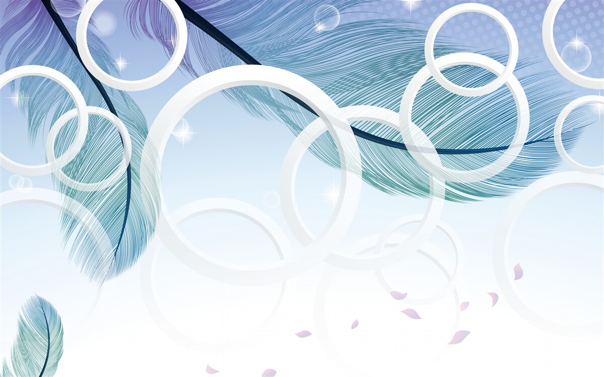 Fototapeta duże białe koła i pióra