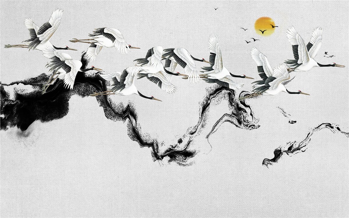 Fototapeta grupa żurawi z japonii szybuje w stronę zachodu słońca