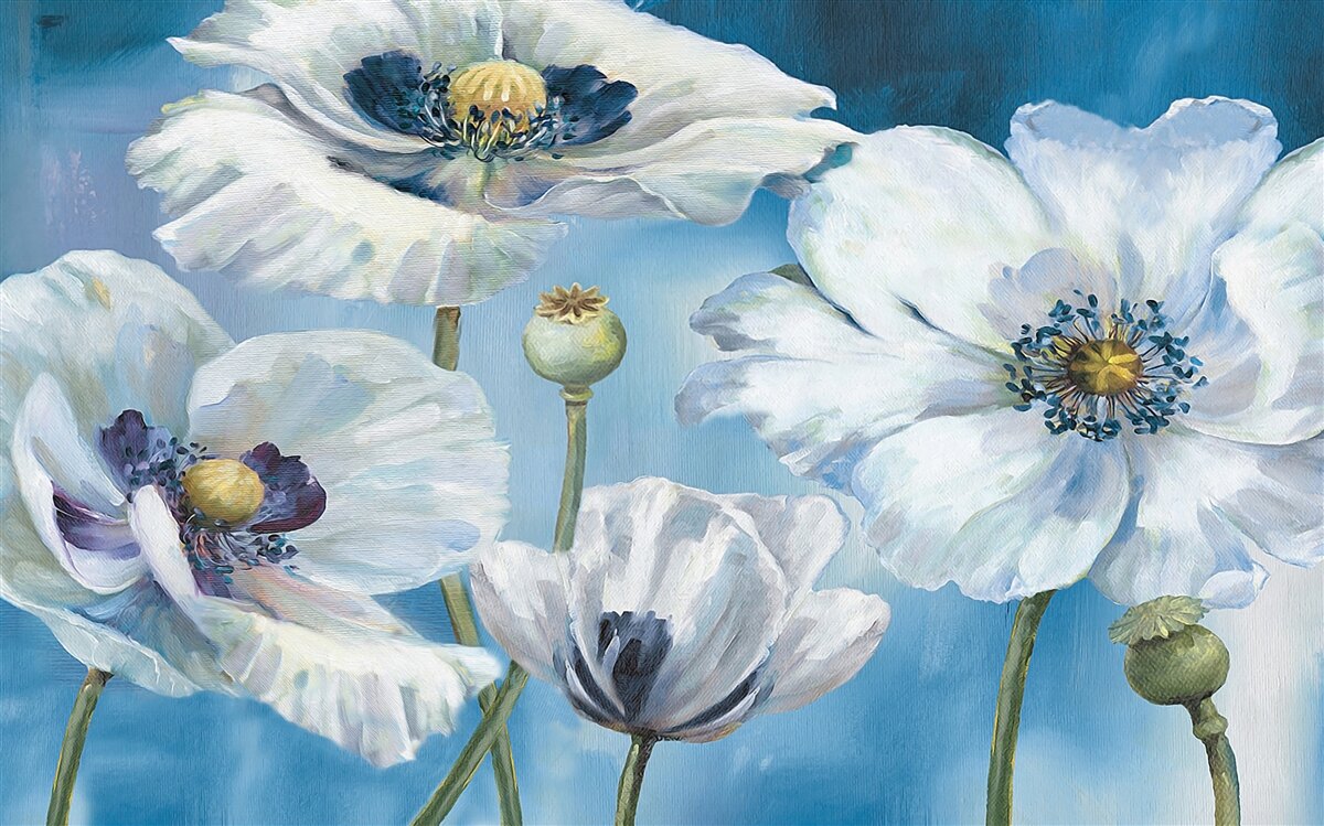 Fototapeta ogromne białe maki