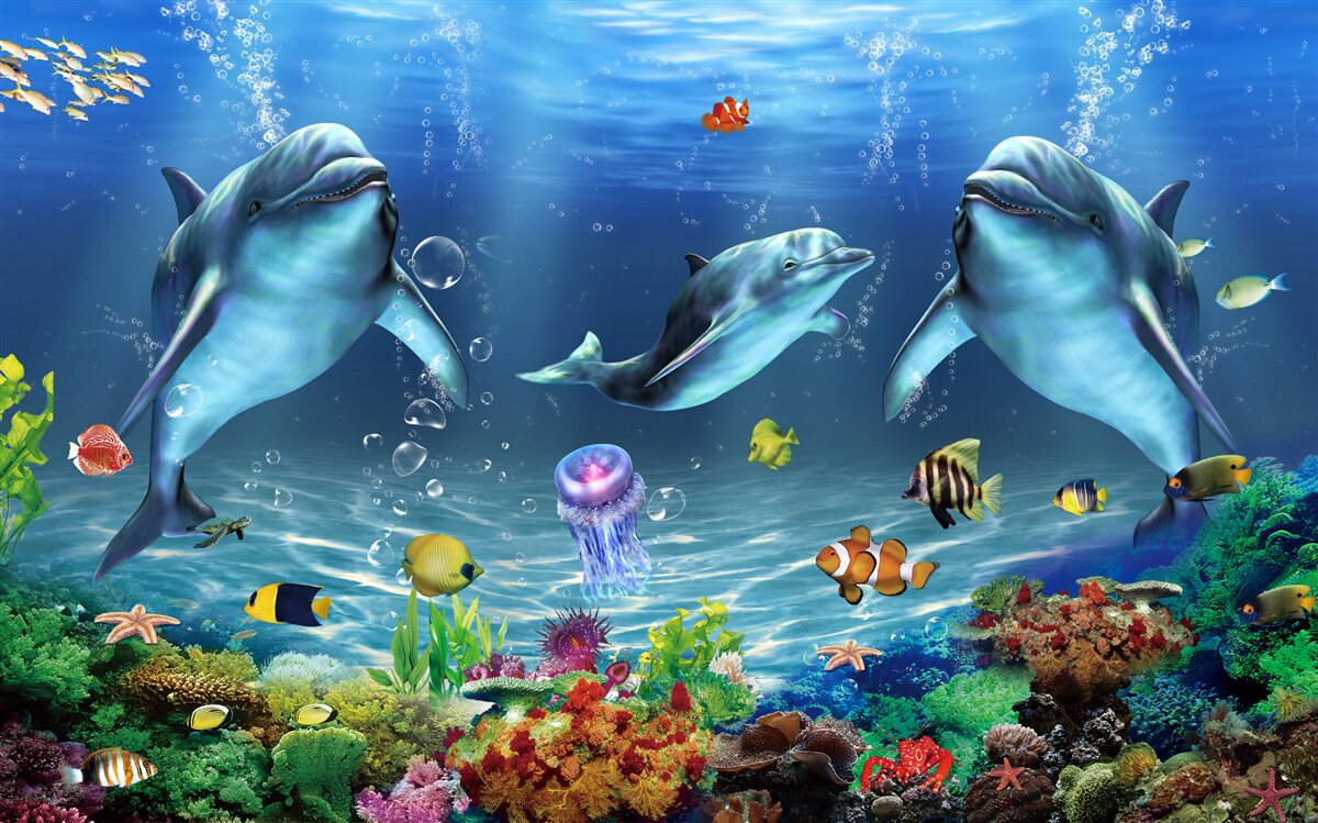 Fototapeta mieszkańcy wody - delfiny