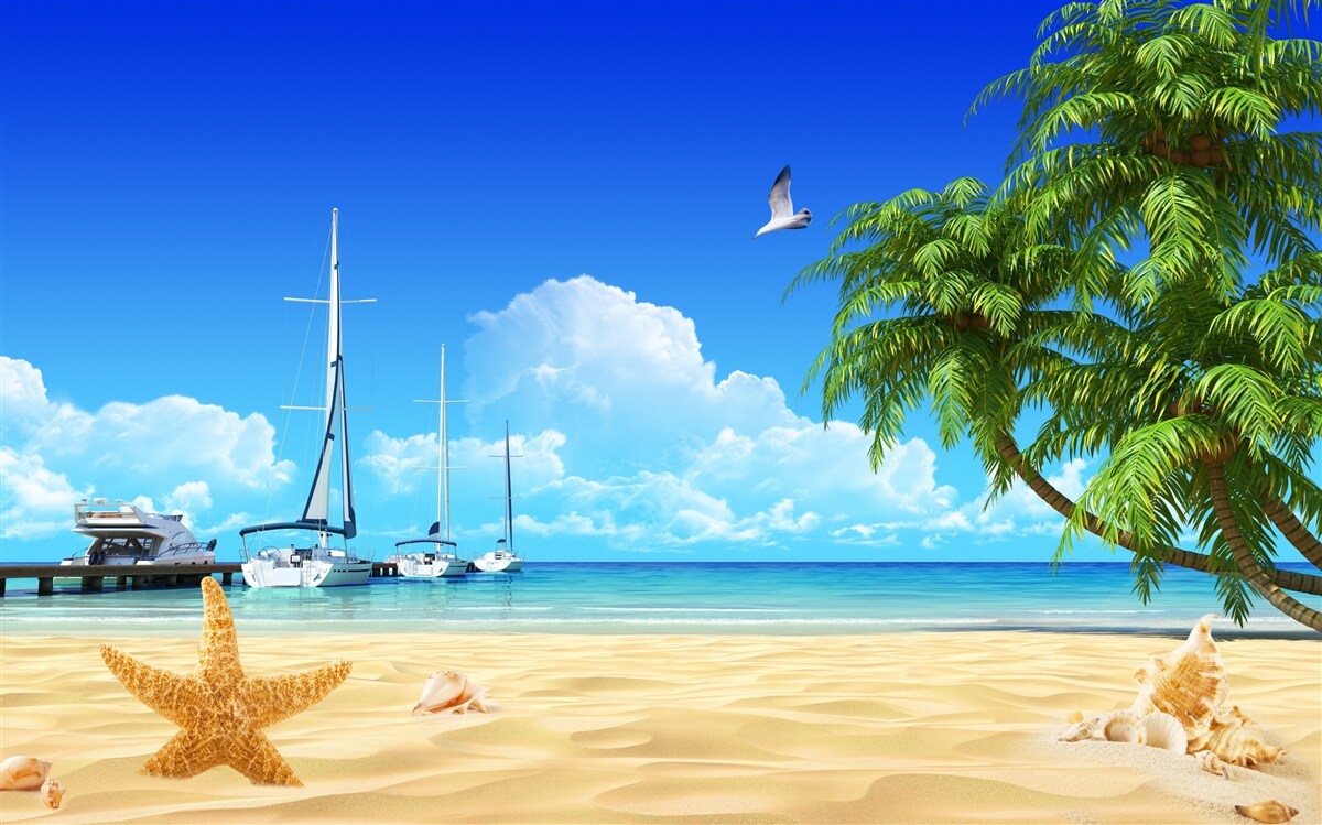 Fototapeta na molo na piaszczystym brzegu stoją łodzie