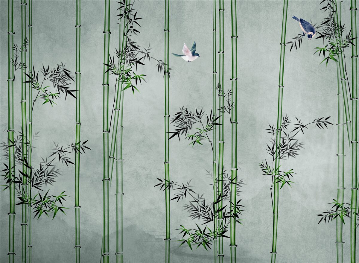 Fototapeta bambusowy las spowija mgła