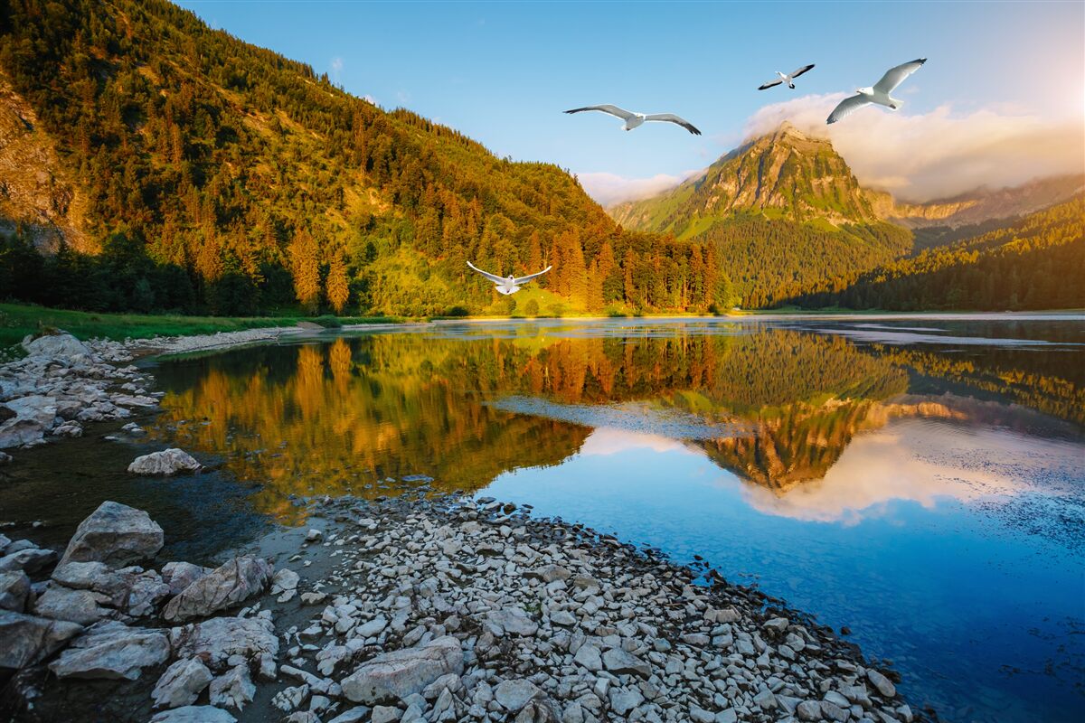 Fototapeta ptaki latające nad wodami górskimi