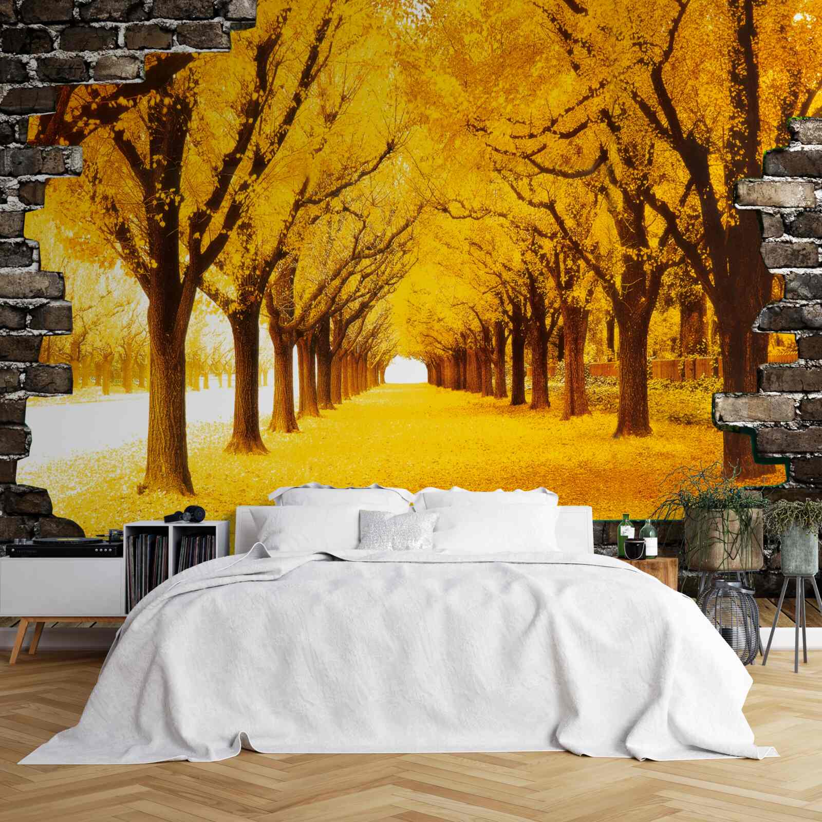 Fototapeta aleja była pokryta żółtymi liśćmi