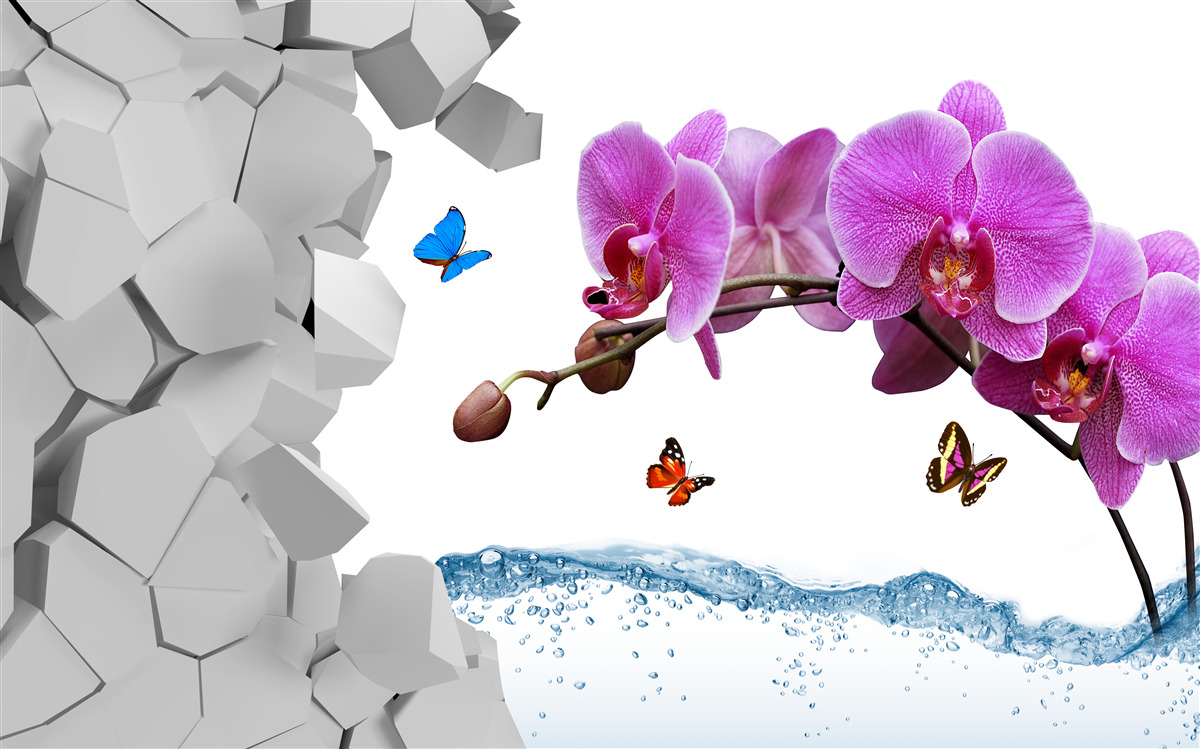 Fototapeta fioletowa orchidea i motyle na gałęzi