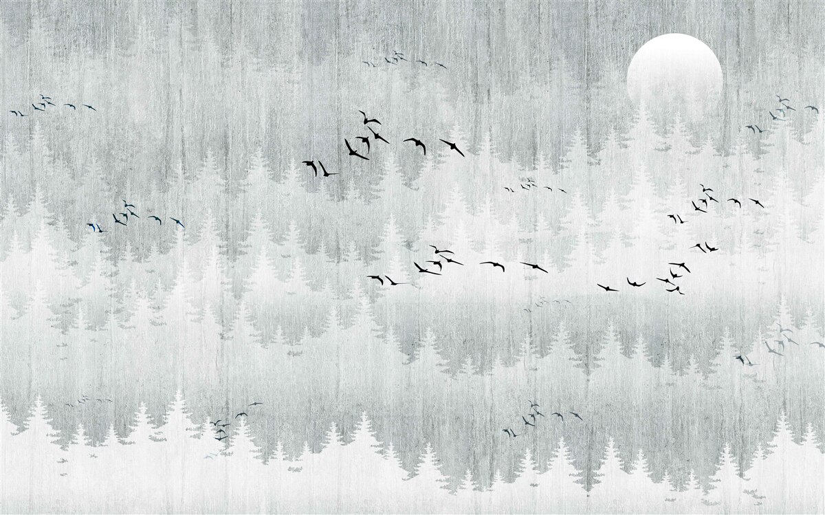 Fototapeta ptaki latają nad lasem pokrytym mgłą