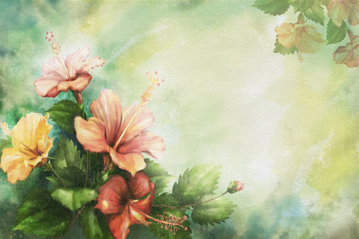 Fototapeta piękne akwarelowe rośliny