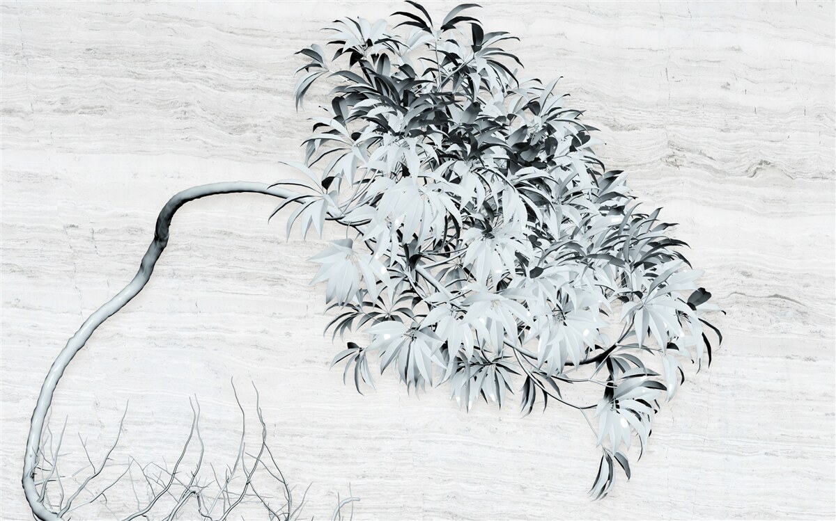 Fototapeta drzewo stojące samotnie na wietrze