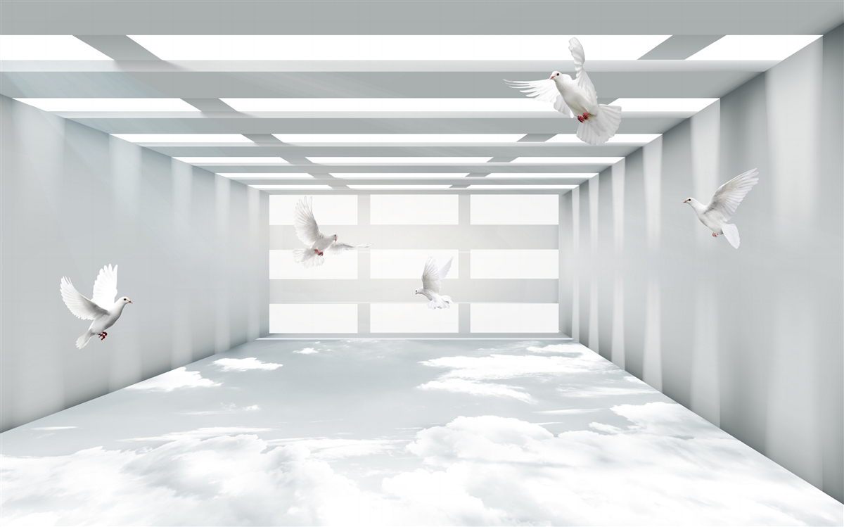 Fototapeta jasne przejście, w którym w powietrzu unoszą się motyle