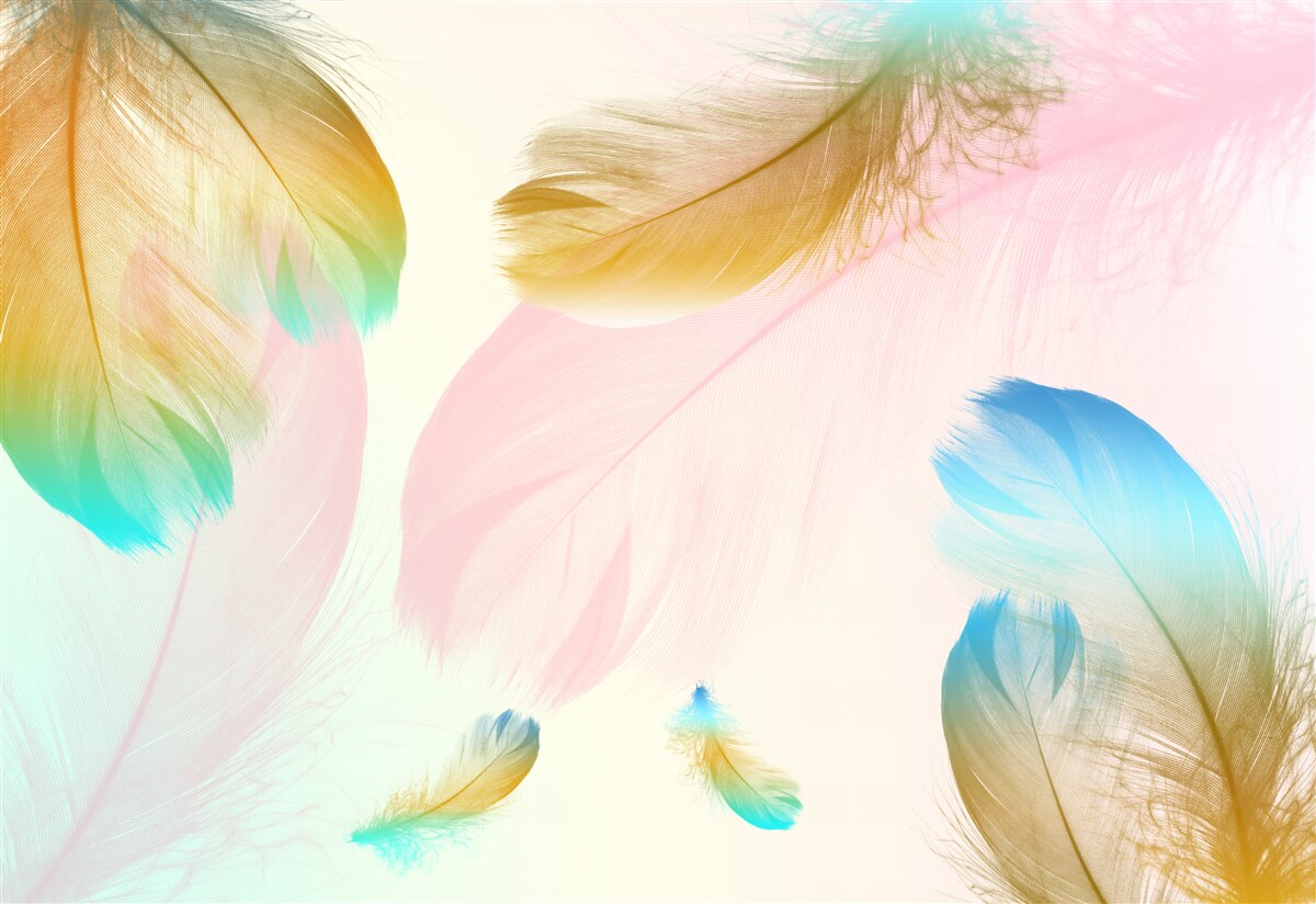 Fototapeta pastelowe piórka