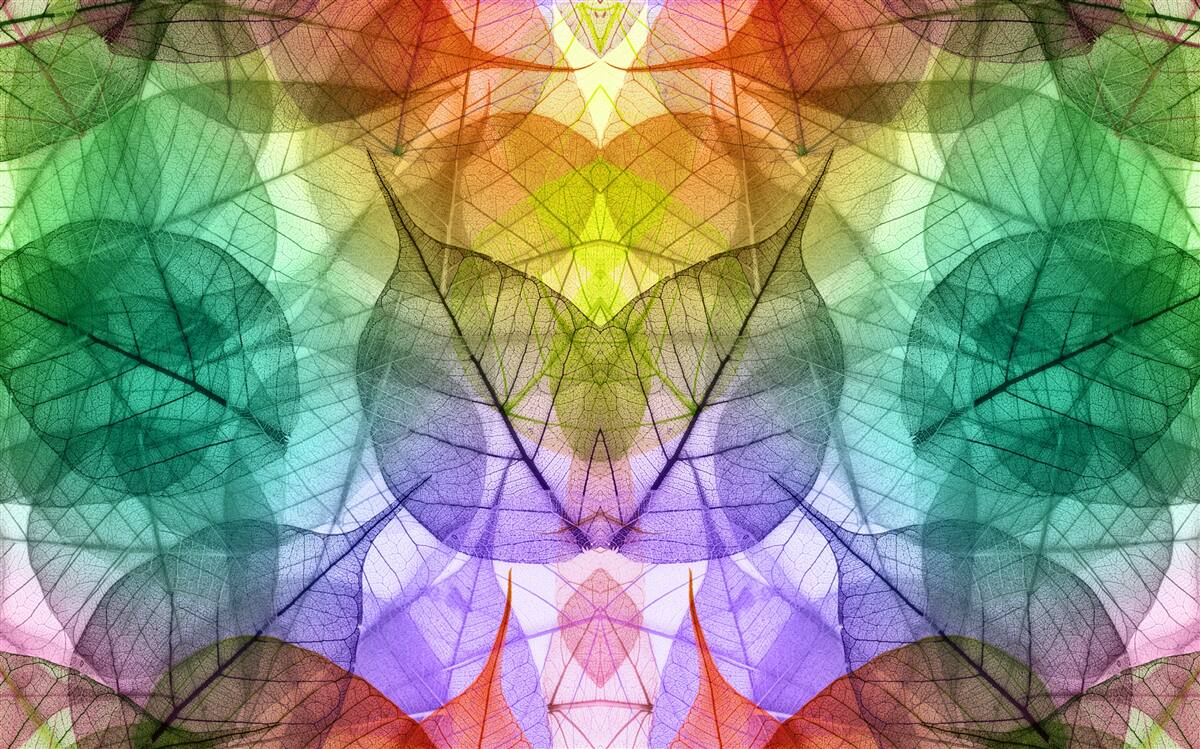 Fototapeta liście mieniące się wszystkimi odcieniami tęczy