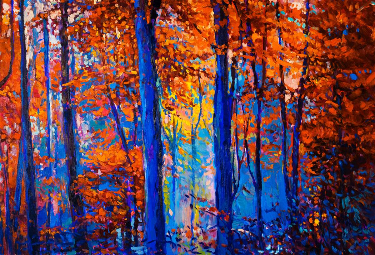 Fototapeta kontrast kolorów w lesie jesienią