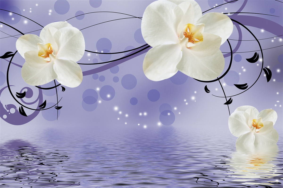 Fototapeta nad stawem znajdują się duże śnieżnobiałe kwiaty